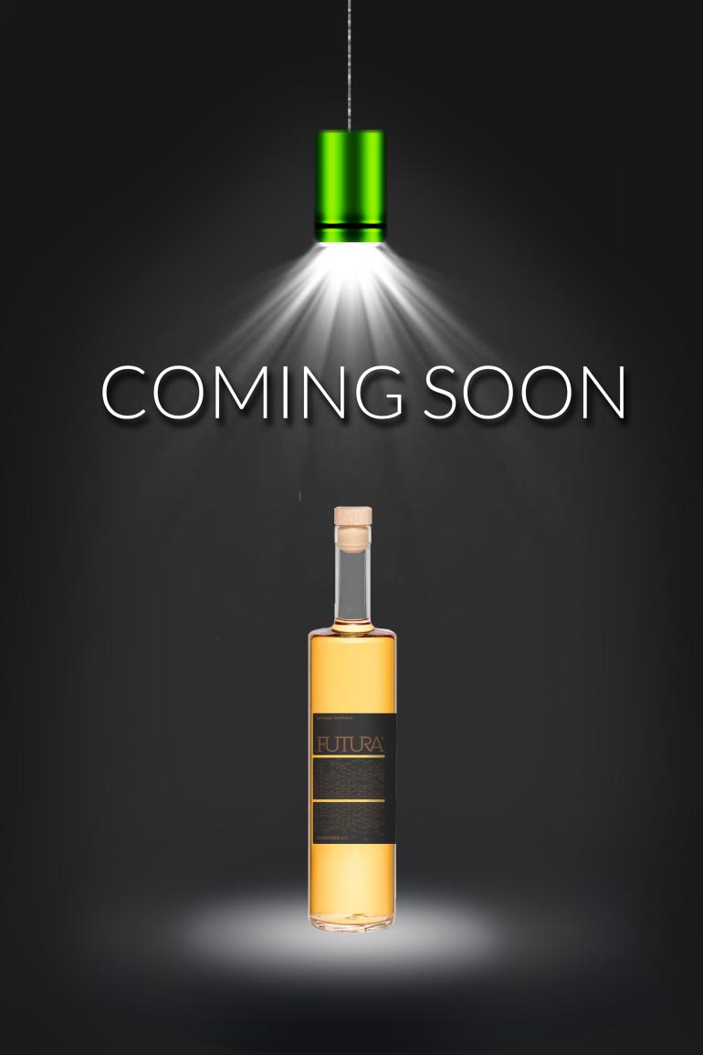 Futura Riserva Barrique by DOMENIS1898 is coming soon!